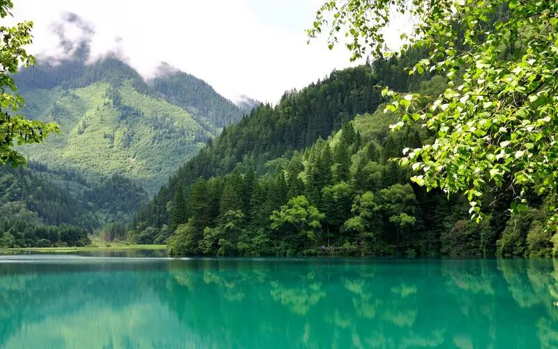 创新高效